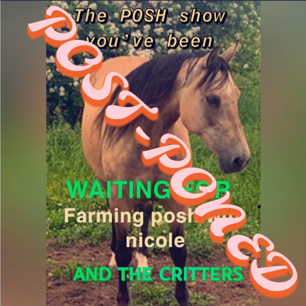 This event is postponed due to snow and rain!!